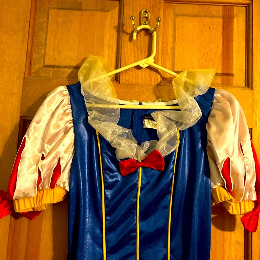 Disney Snow White Costume - Blue, Red, White